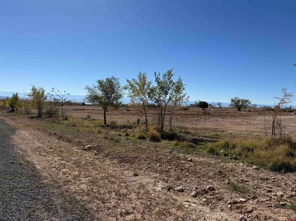 TBD Lot 7 Stardust Lane, Cedaredge, CO 81413