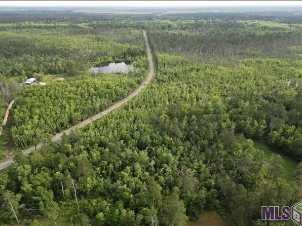 Tbd Blood River Rd, Springfield, LA 70462