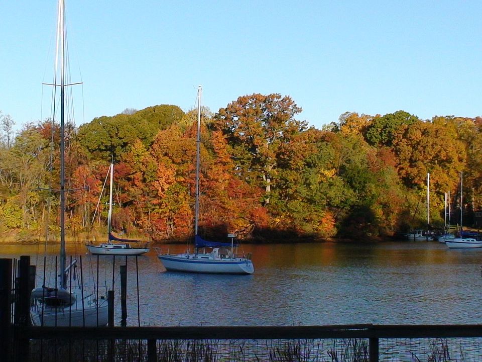 View in the fall