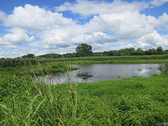 2nd image of 1950 County Road 21
