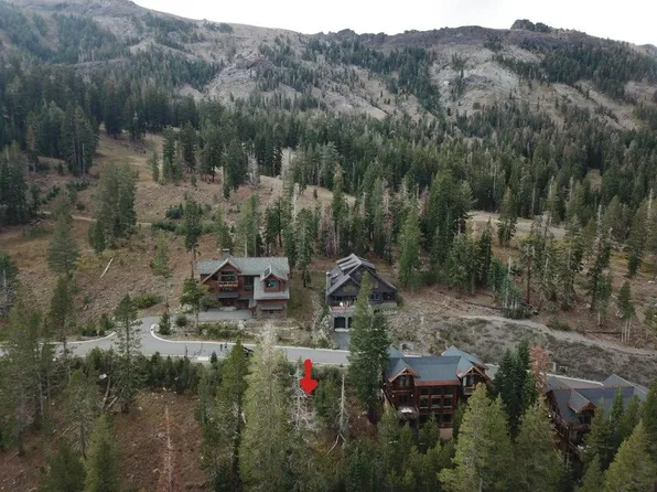 239 Palisades Dr, Pioneer, CA 95666