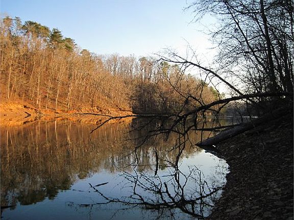 5th image of 2600 County Road 351