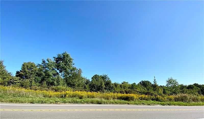 2nd image of Ellwood Rd