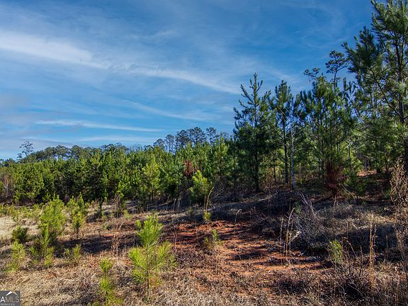 2nd image of TRACT Six 0 Chestnut Grove Rd