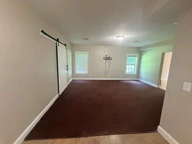 Basement Living Room