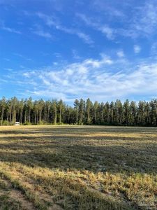 6950 Luth Rd, Molino, FL, 32577