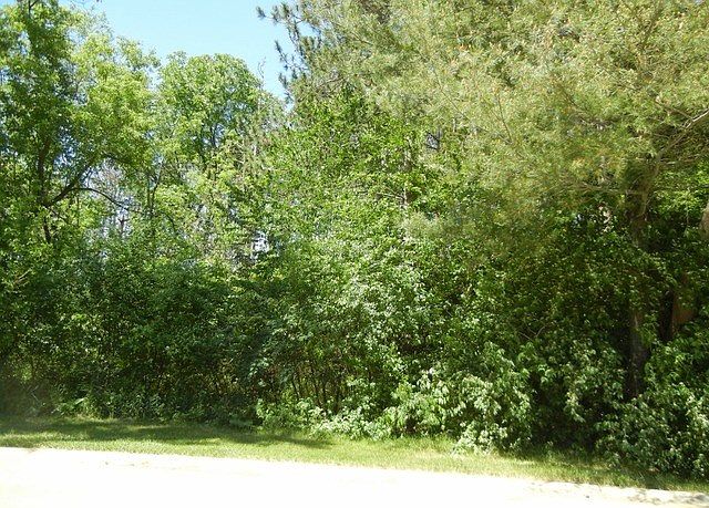 2nd image of 3306 Arbor Ln