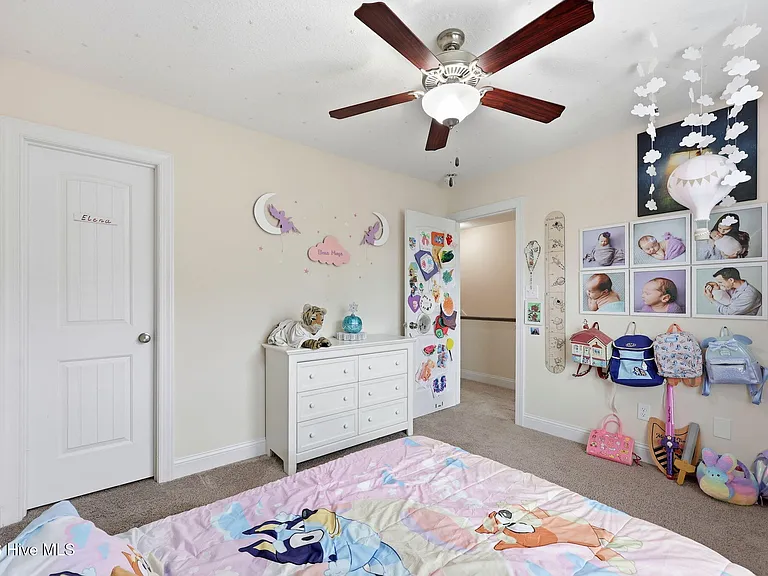 317 Little Egret Ln — Photo 34