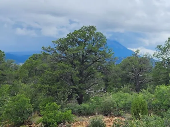 Overlook Dr, Aguilar, CO 81020