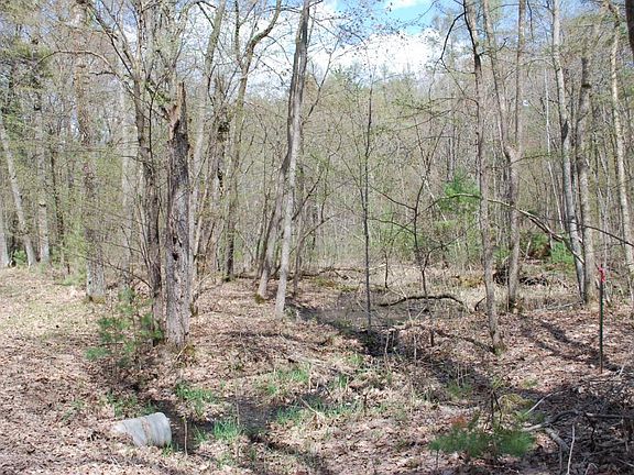 5th image of Xxx Fjeldheim Road Stanchfield Twp