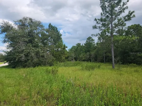 LOT 18 SW Tiger Lake Blvd Lot 18, Dunnellon, FL 34431
