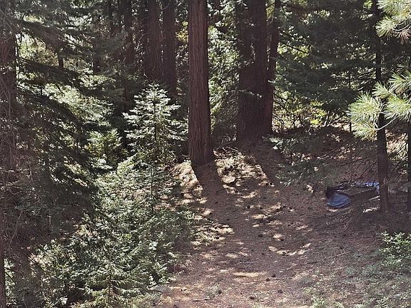 3rd image of 41100 Putt Rd