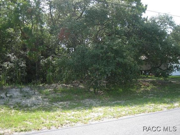 2nd image of 7253 N Cricket Dr