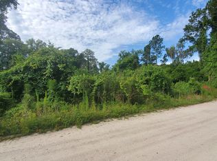 210 Dolphin Dr, Georgetown, FL 32139