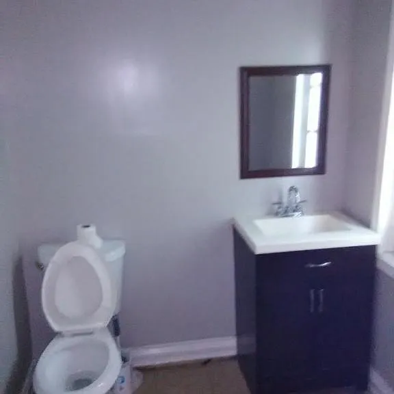 717 Albany St #1 — Photo 9