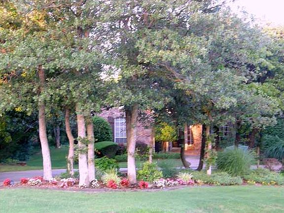 View of Home from Street