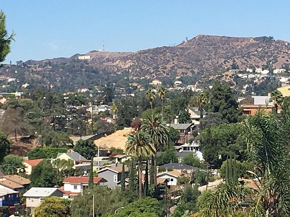 Hollywood Sign View
