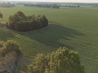 Airport Rd Lot 4, Morton, MS, 39117