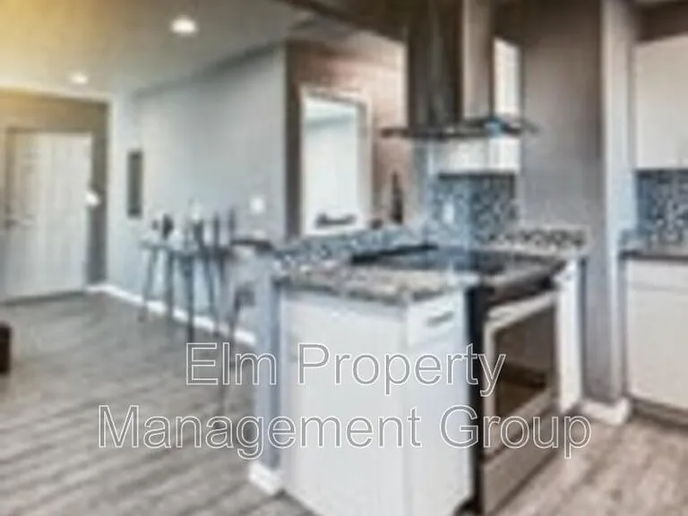315 N 11th St #104 — Photo 3