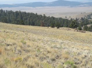 1607 La Plata Dr, Hartsel, CO 80449