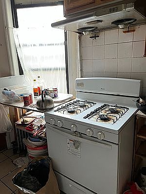 2nd image of 107 Hester St #10