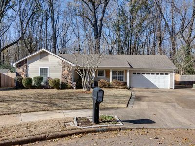 2555 Flowering Tree Cv N, Memphis, TN, 38134