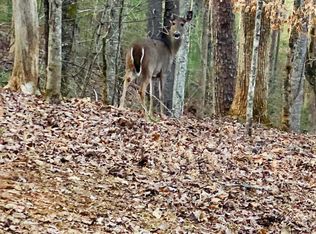 12 Hide Away Dr, Butler, TN 37640