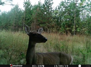 0 Henrys Mill Rd #2A-1, Vernon Hill, VA 24597