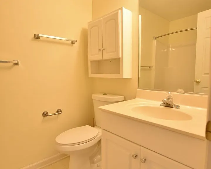 424 Mill Pond Dr — Photo 10