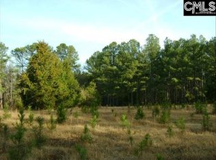 141 Hanlon Dr, Elgin, SC 29045