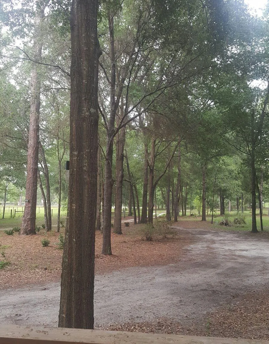 3 bed, 2557 sqft, $3,500 — Photo 4