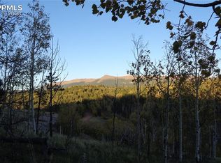 1275 Golden Cycle Cir, Cripple Creek, CO 80813