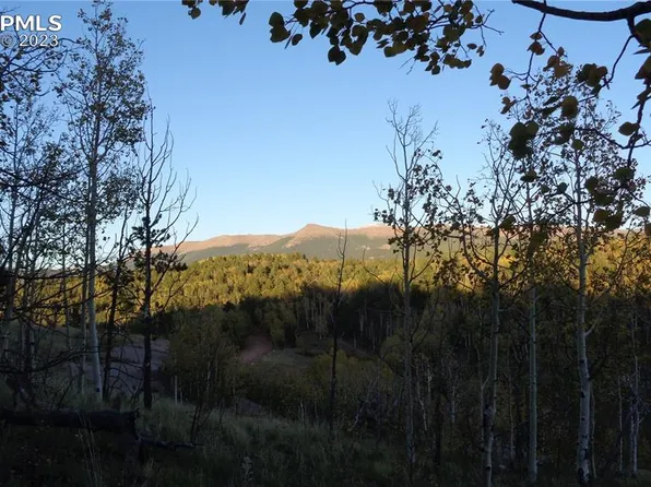 1275 Golden Cycle Cir, Cripple Creek, CO 80813