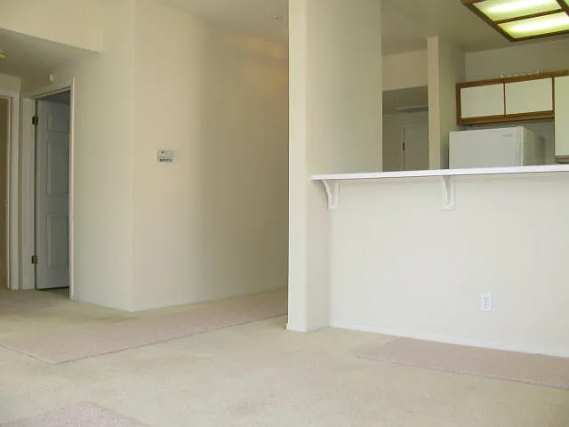 951 S 12th St #207 — Photo 8