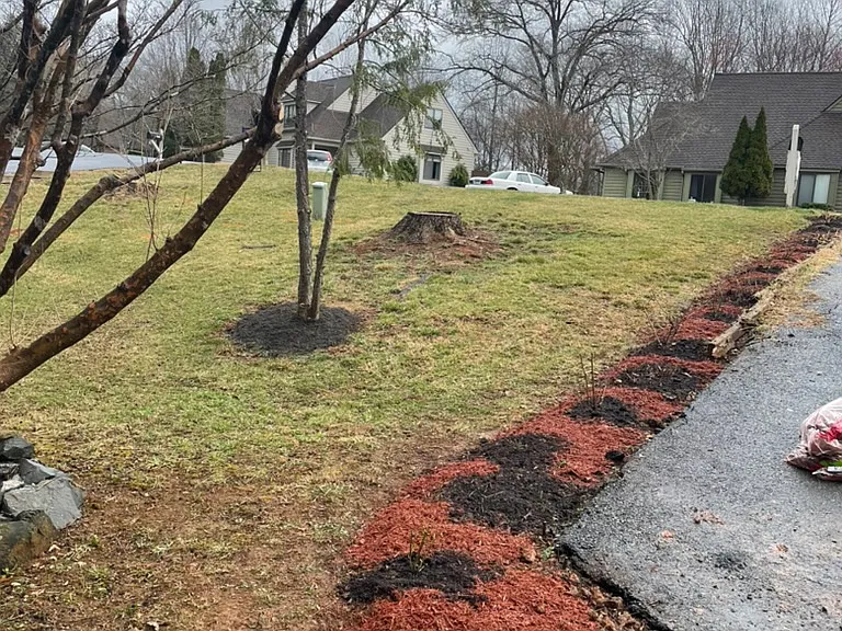 Front yard