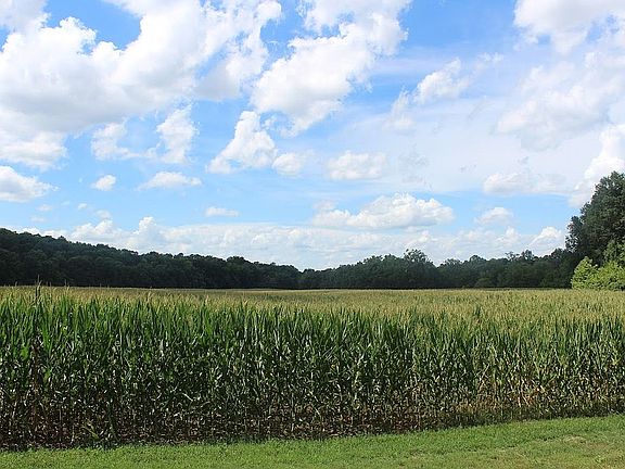 5th image of 525 S Scruggs Lane Spur