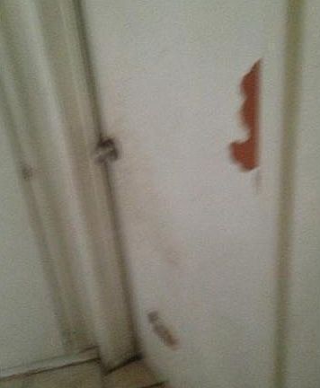 5th image of 17515 Anastasia Ct