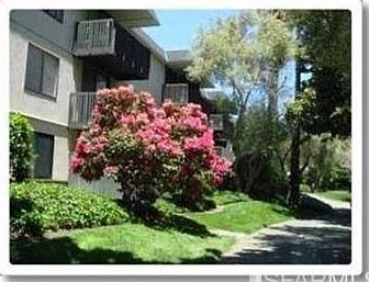 1st image of 7256 Shelter Creek Ln