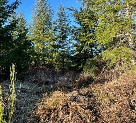 2nd image of 0 SW Buck Hollow Rd #18