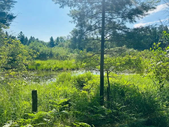 39 Ausable River Trl, Roscommon, MI 48653