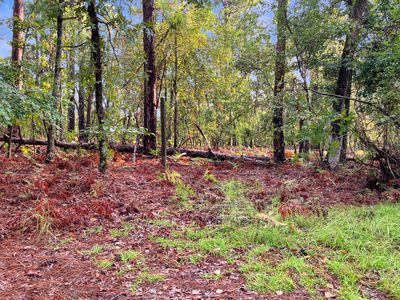 2470 Hancock Landing Road, Waynesboro, GA, 30830