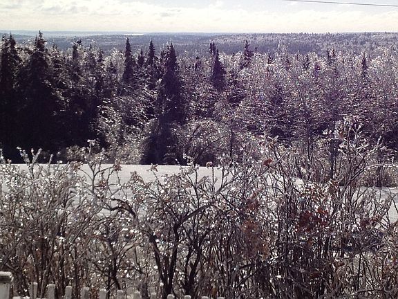 Winter view from Sun Room