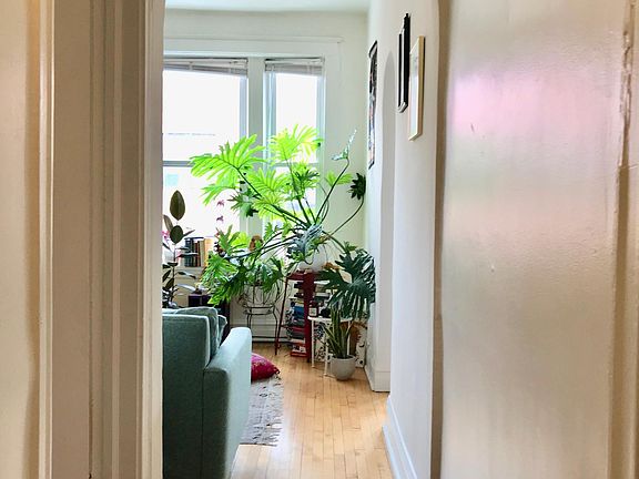 2nd image of 1739 N Damen Ave #3W