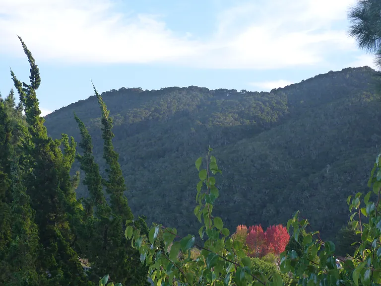 Avila Beach Hills View