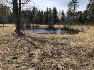 Cadillac Rd, Merritt, MI 49667