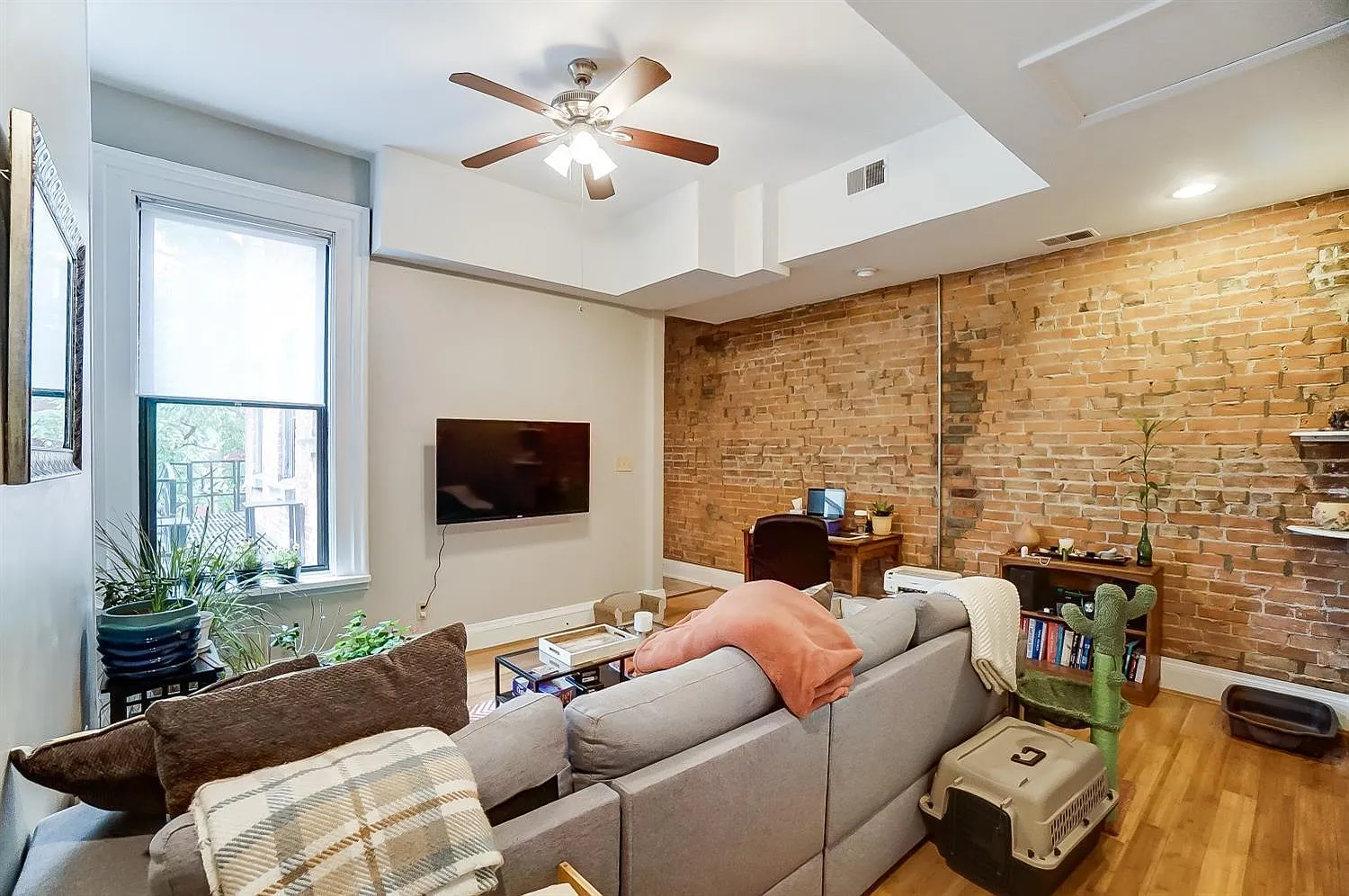 1 bed, 800 sqft, $1,300 — Photo 4
