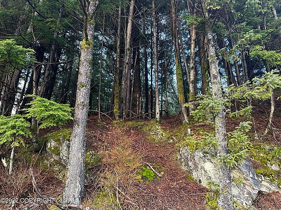 2nd image of 8100 N Tongass Hwy