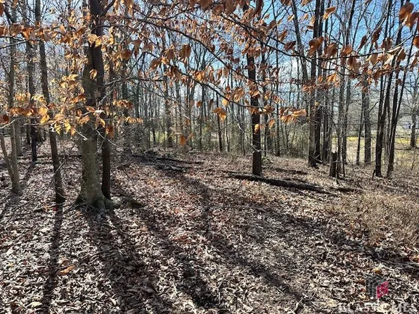 0 Brad Street, Royston, GA 30662