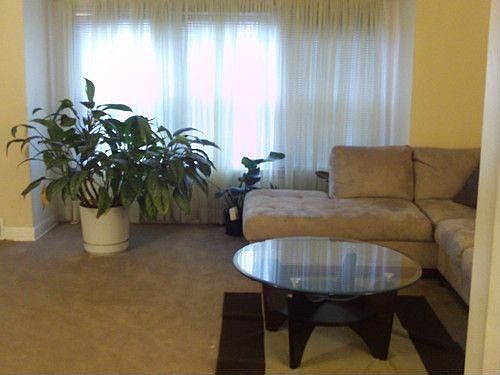 4th image of 10636 S King Dr