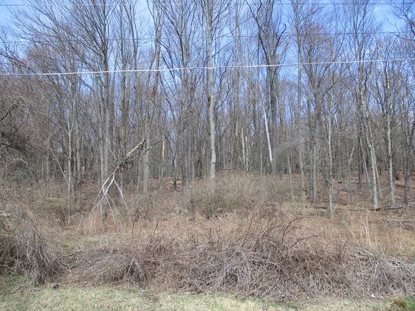 188 W Orchard Hill Rd, Elmira, NY 14903